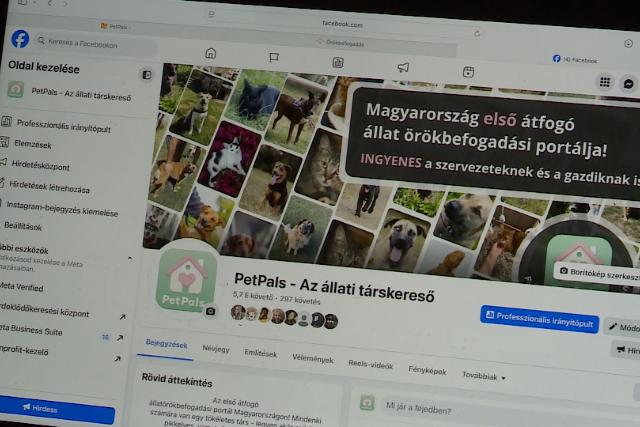 Állati társkereső