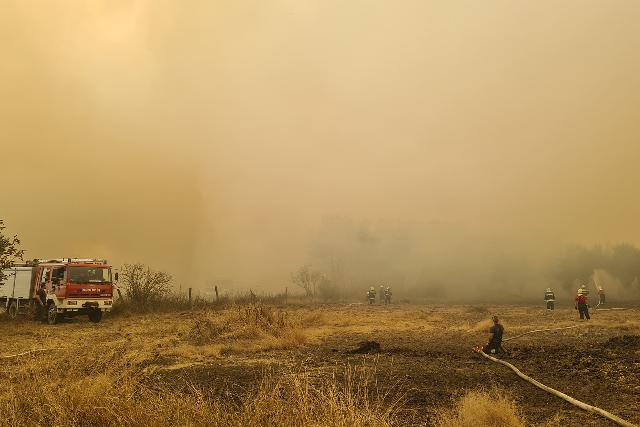 Hatalmas erdtz tombolt Vasban - a tzoltknak sikerlt elfojtaniuk a lngokat, az utmunklatok zajlanak