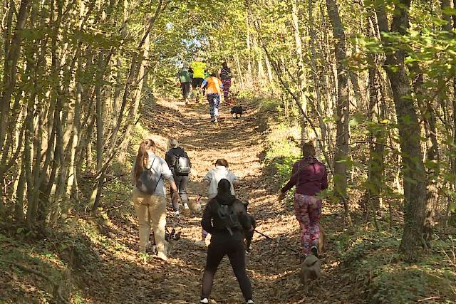 Zala Forest Challange cmmel kutys terepfutst rendeztek Zalaegerszegen