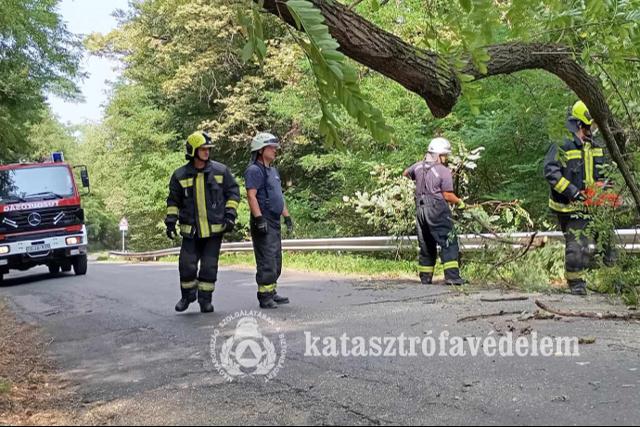 Kidlt fa foglalta el az ttestet Zalaegerszegen